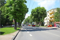 Gaštanová aleja Masarykovej ulice